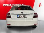 Skoda Octavia 2019 Valkoinen