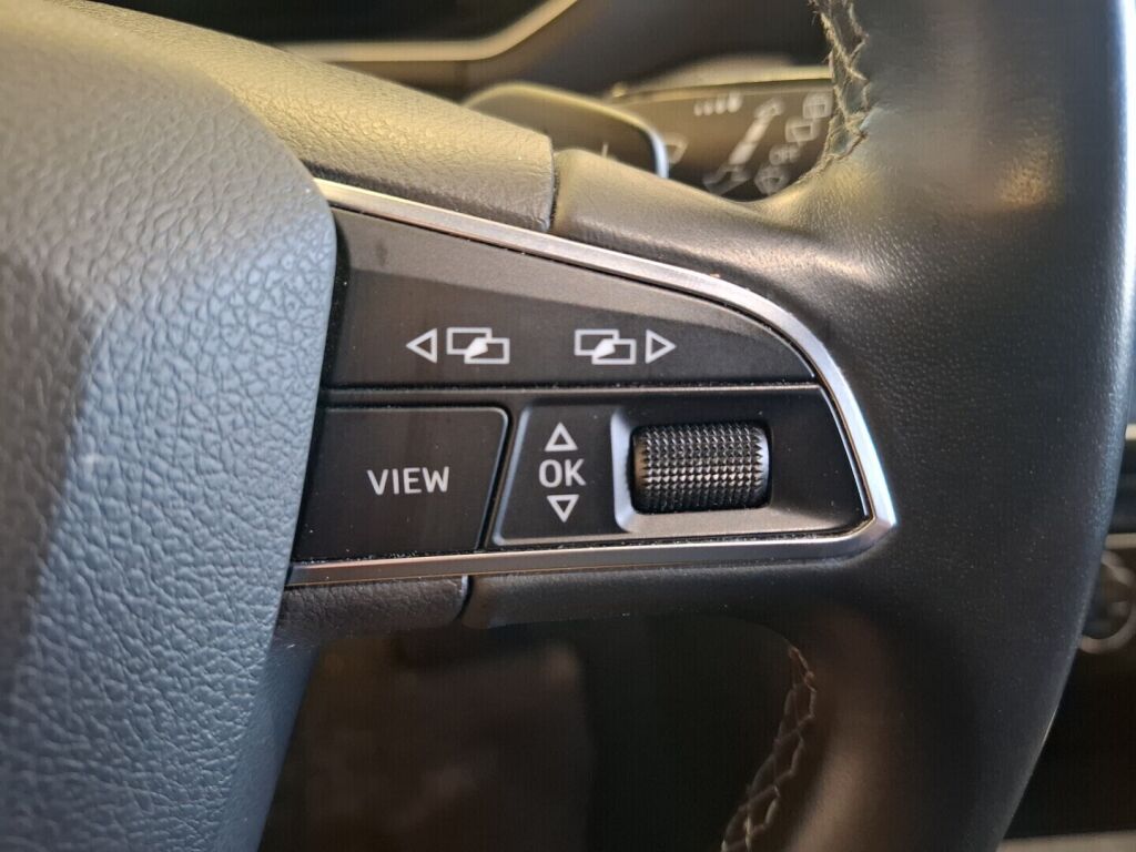 Seat Tarraco 2019 Hopea