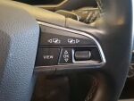 Seat Tarraco 2019 Hopea