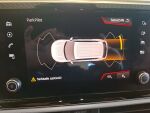 Seat Tarraco 2019 Hopea