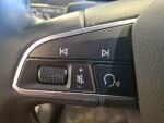 Seat Tarraco 2019 Hopea
