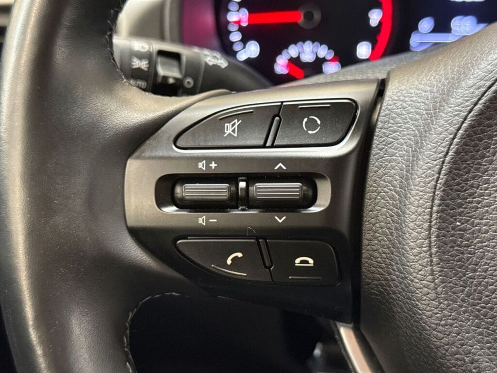 Kia Rio 2019 Ruskea (beige)