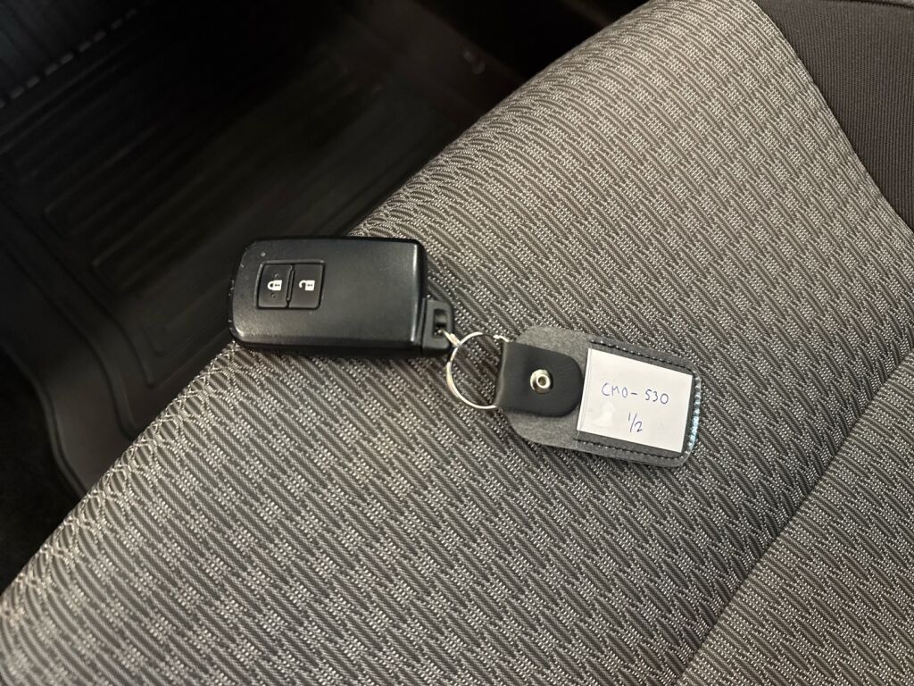 Toyota Auris 2019 Sininen