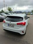 Ford Focus 2019 Valkoinen