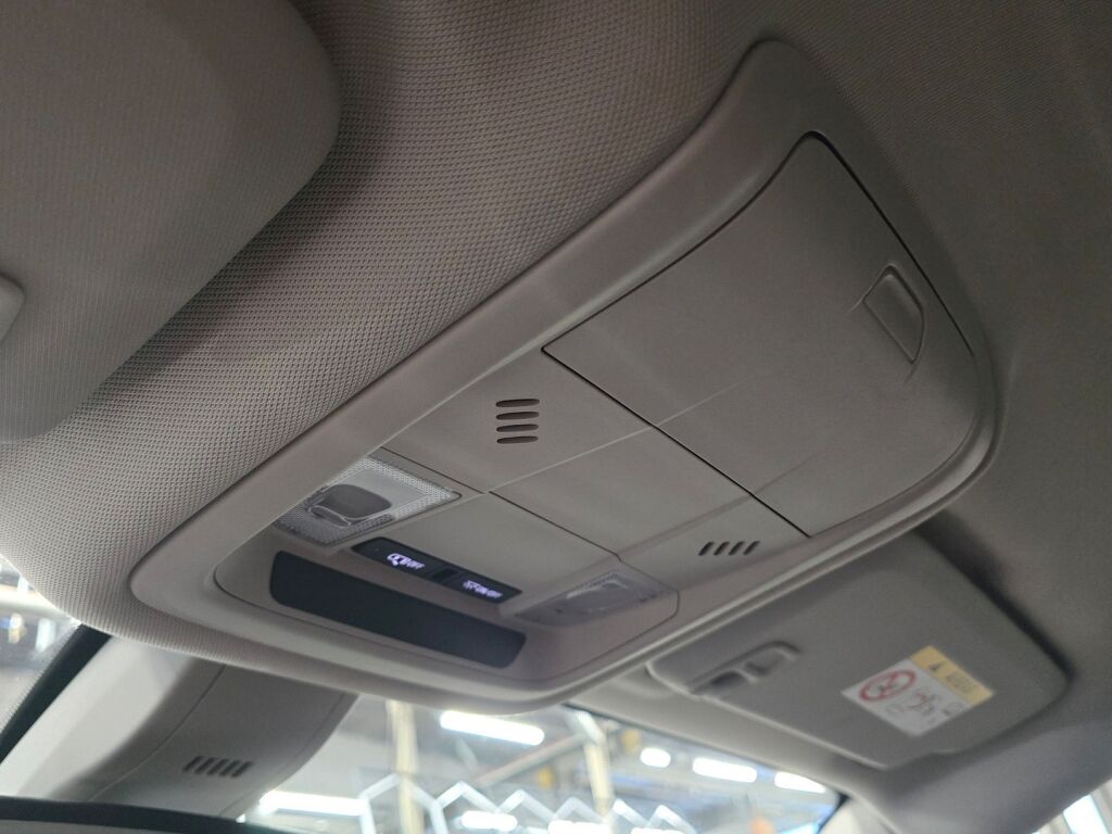 Opel Insignia 2019 Punainen