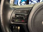 Kia Niro 2019 Harmaa