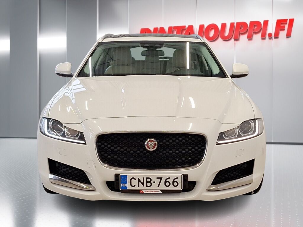 Jaguar XF 2019 Valkoinen