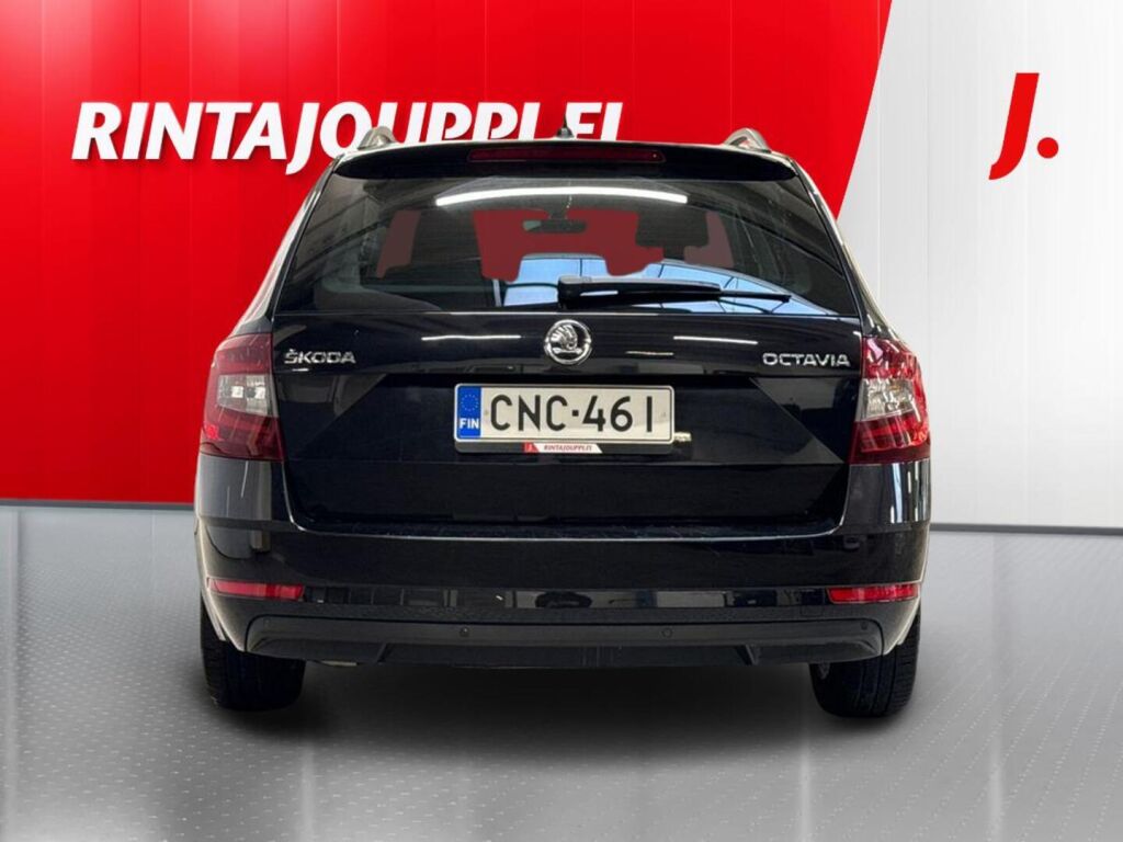Skoda Octavia 2019, photo 6/31