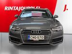 Audi A4 2019 Harmaa