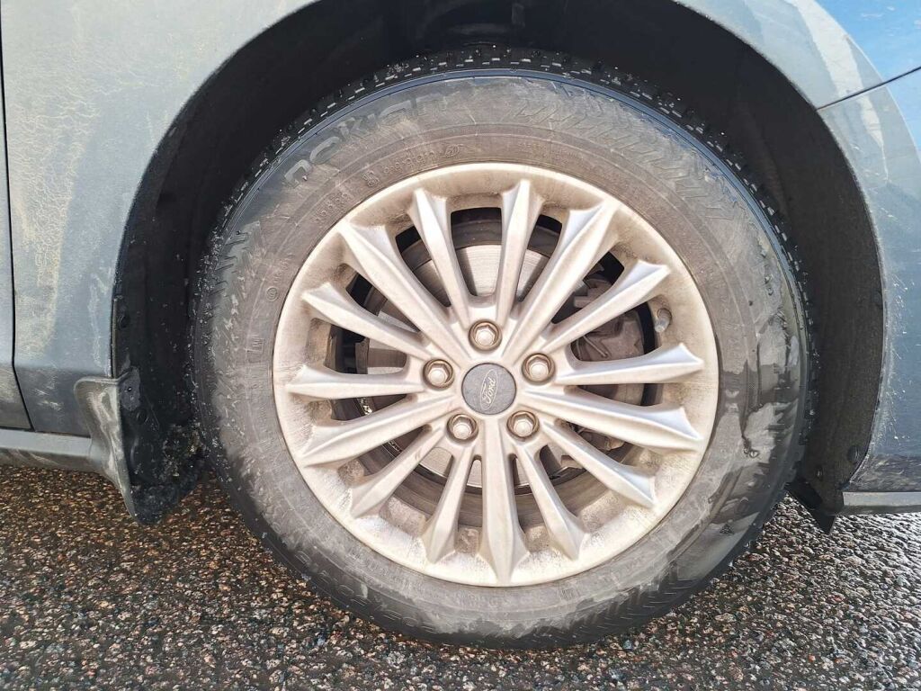 Ford Focus 2020 Sininen