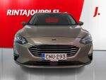 Ford Focus 2019 Harmaa