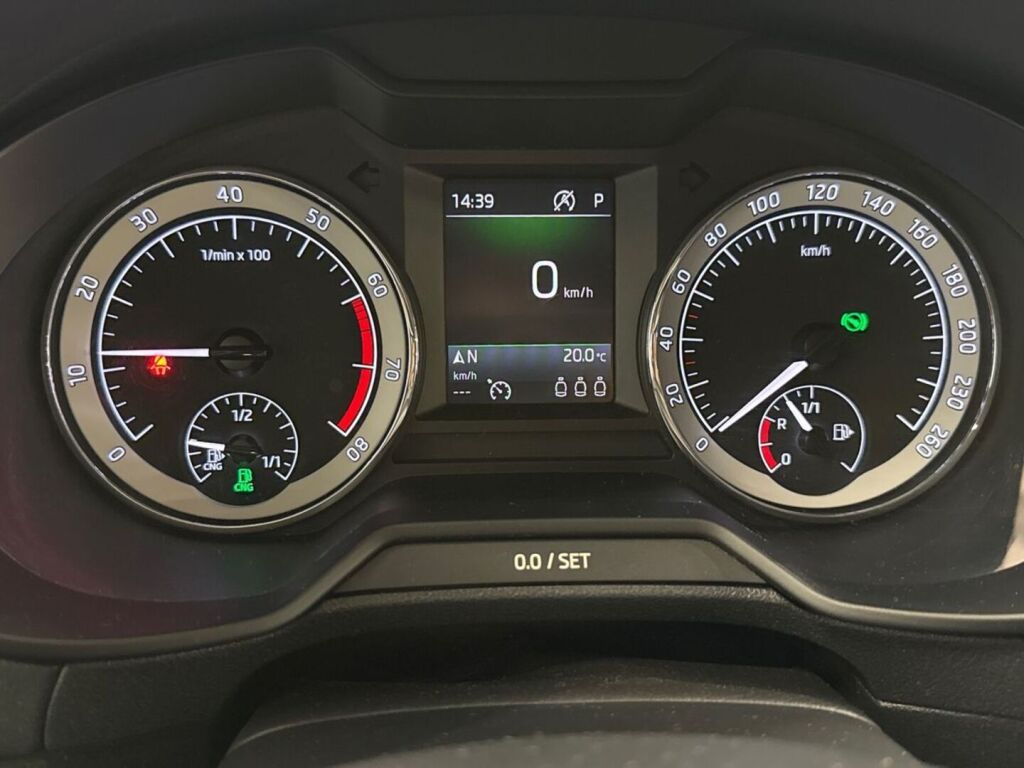 Skoda Octavia 2019 Sininen