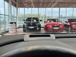 Opel Insignia 2020 Harmaa