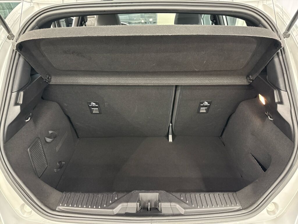 Ford Fiesta 2019 Harmaa