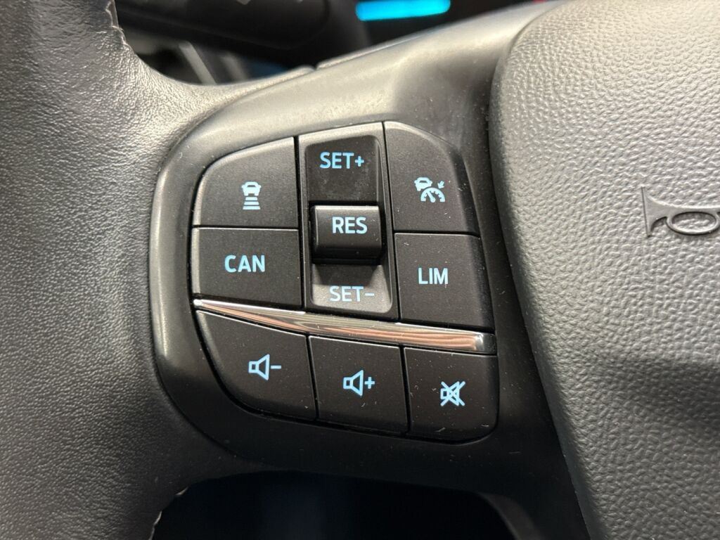 Ford Fiesta 2019 Harmaa