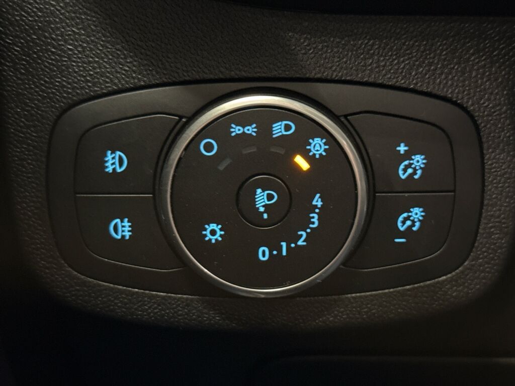 Ford Fiesta 2019 Harmaa