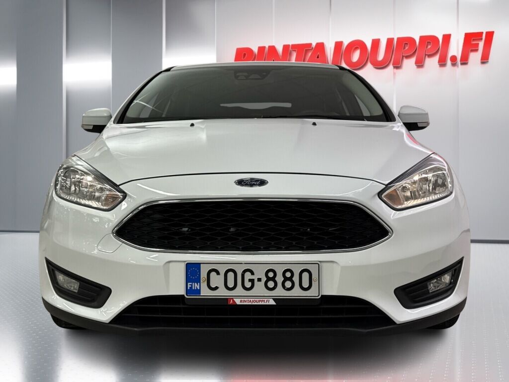 Ford Focus 2015 Valkoinen