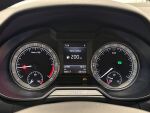 Skoda Octavia 2020 Harmaa