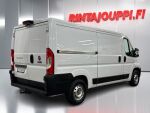 Fiat Ducato 2021 Valkoinen