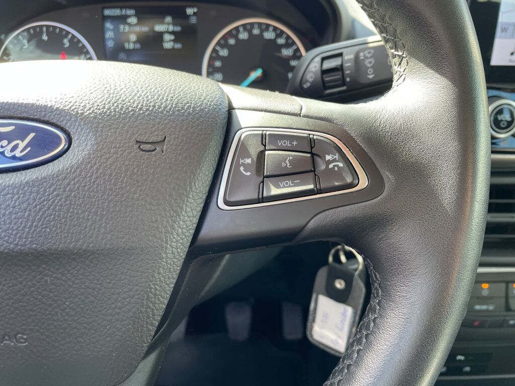 Ford Ecosport 2019 Harmaa