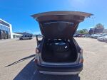 Ford Kuga 2022 Harmaa