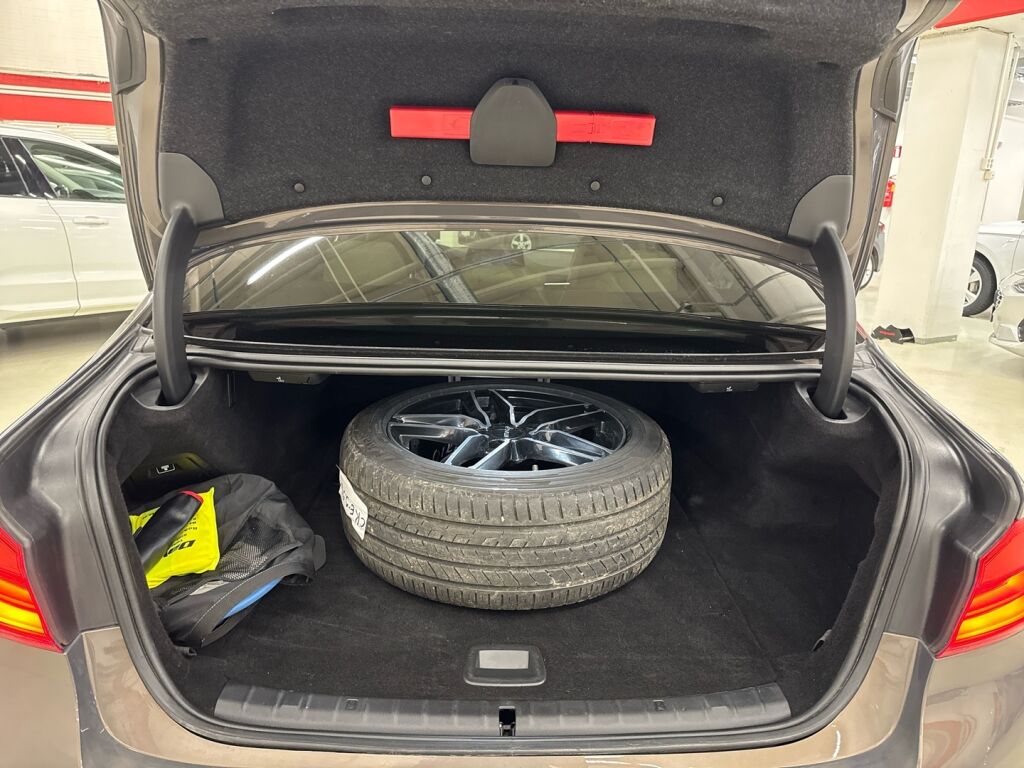 BMW 530 2019 Ruskea (beige)