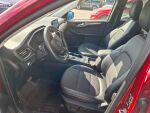 Ford Kuga 2023 Lucid Red