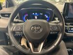 Toyota Corolla 2023 Ruskea (beige)