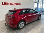Kia Ceed 2024 Punainen