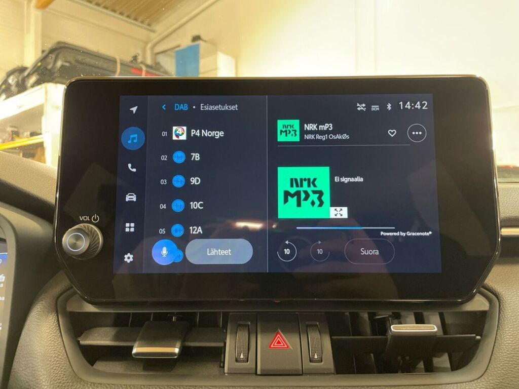 Toyota RAV4 2024 MET.PUN