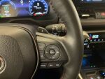 Toyota RAV4 2024 MET.PUN