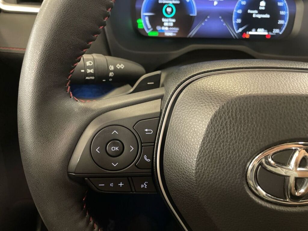 Toyota RAV4 2024 MET.PUN