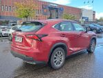 Lexus NX 2015 Punainen