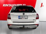 Skoda Octavia 2015 Valkoinen