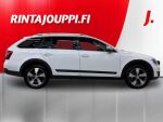 Skoda Octavia 2015 Valkoinen
