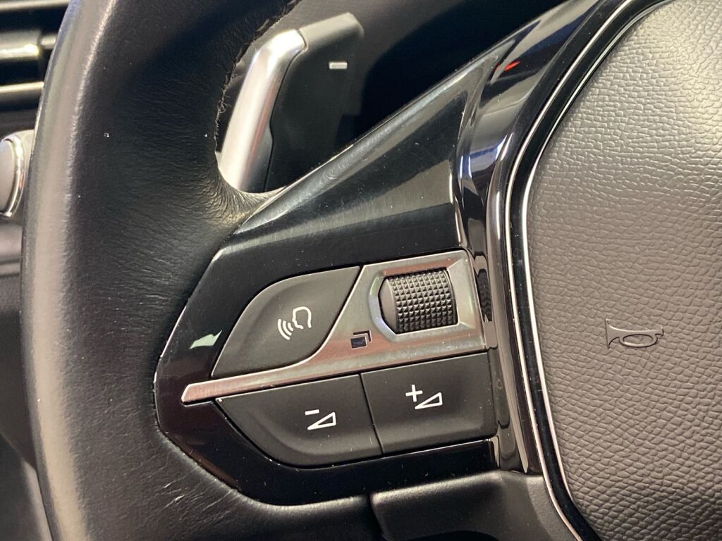 Peugeot 3008 2016 Ruskea (beige)