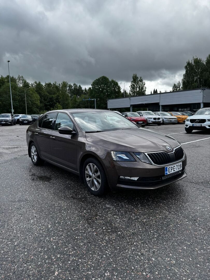 Skoda Octavia 2018 Ruskea (beige)