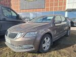 Skoda Octavia 2018 Ruskea (beige)