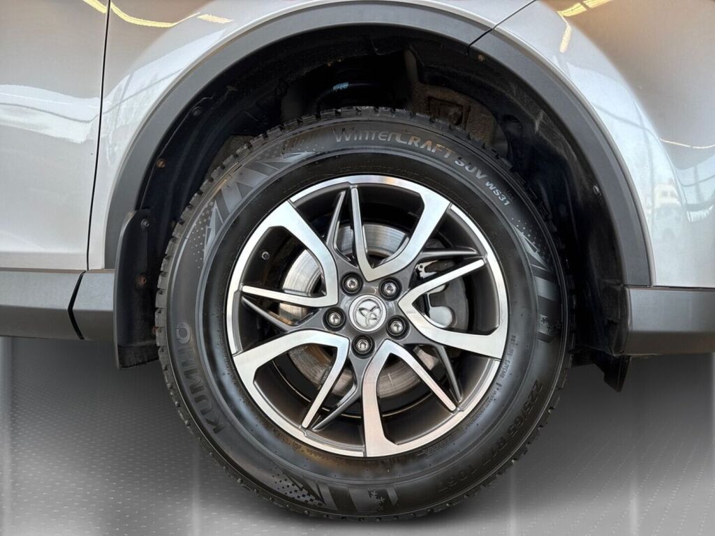 Toyota RAV4 2018 Hopea