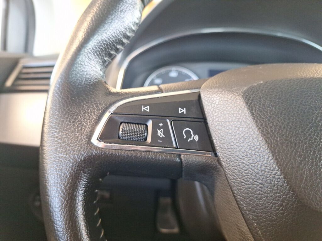 Seat Arona 2019 Hopea