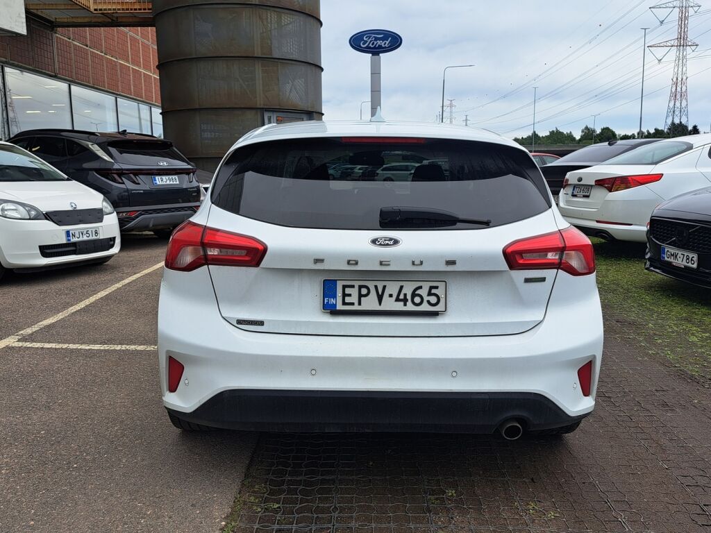 Ford Focus 2019 Valkoinen