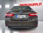 Toyota Camry 2019 Ruskea (beige)