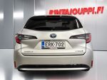 Toyota Corolla 2019 Hopea