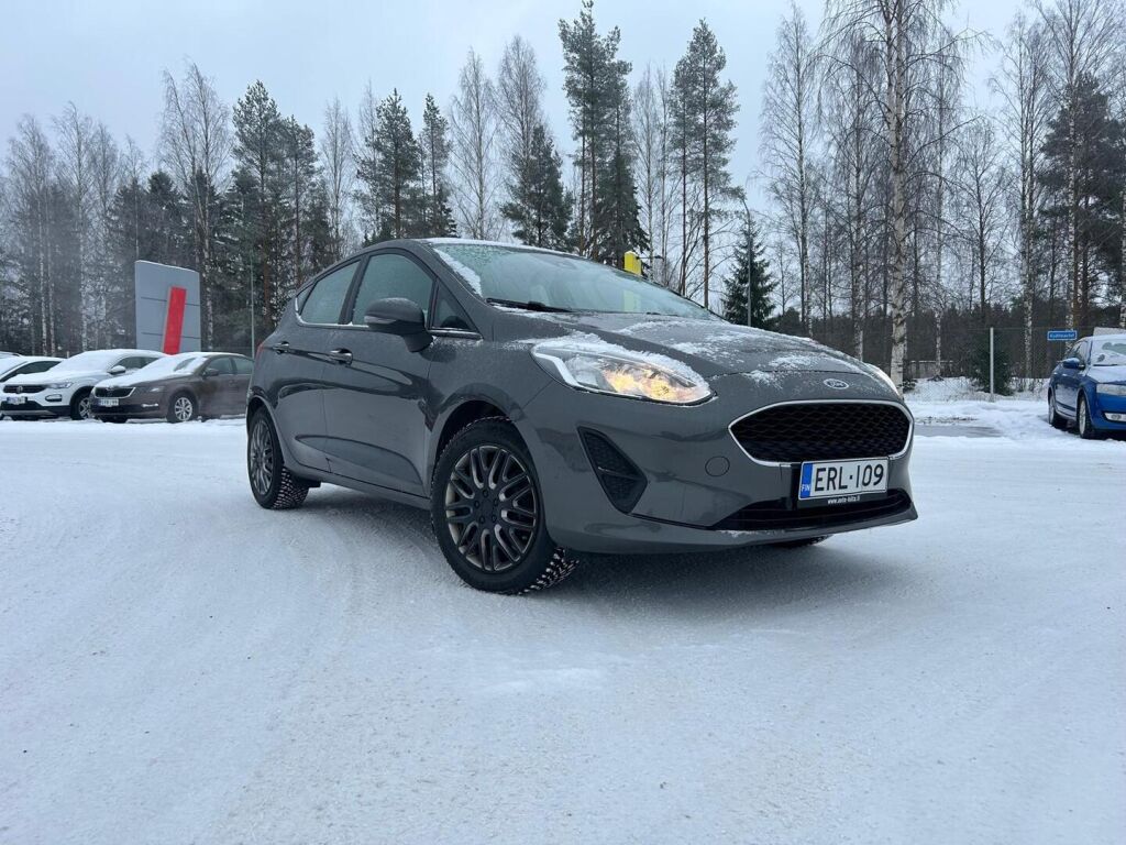 Ford Fiesta 2019 Harmaa