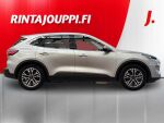 Ford Kuga 2021 Harmaa