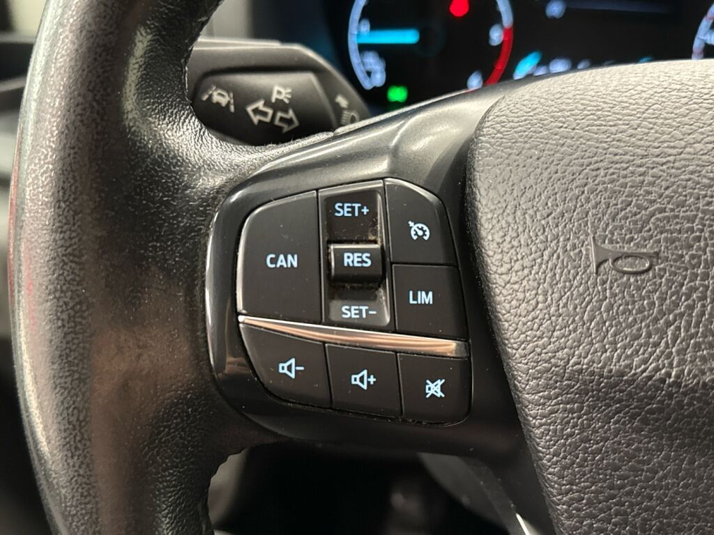 Ford Transit 2020 Harmaa