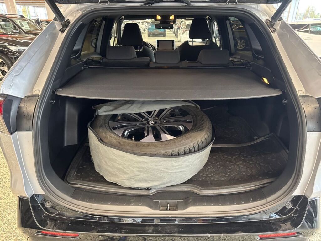 Toyota RAV4 Plug-in 2020 Hopea