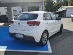 Kia Rio 2021 Valkoinen