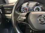 Skoda Kamiq 2021 Sininen