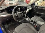 Skoda Octavia 2021 Sininen